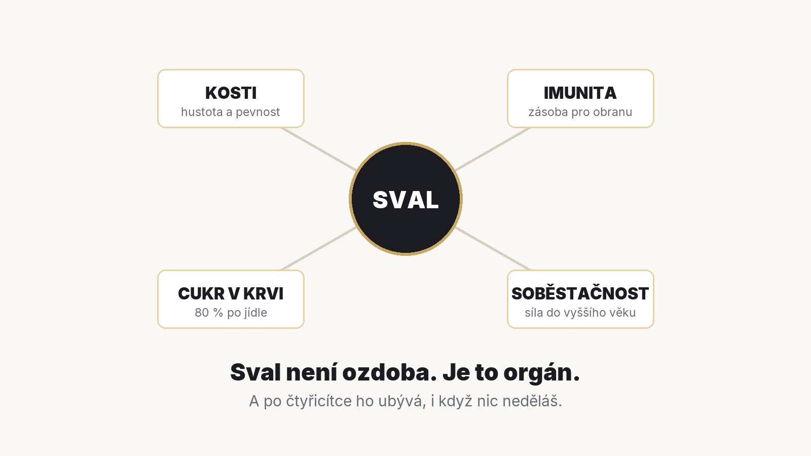 Schéma se svalem uprostřed a čtyřmi vazbami: kosti, imunita, cukr v krvi a soběstačnost